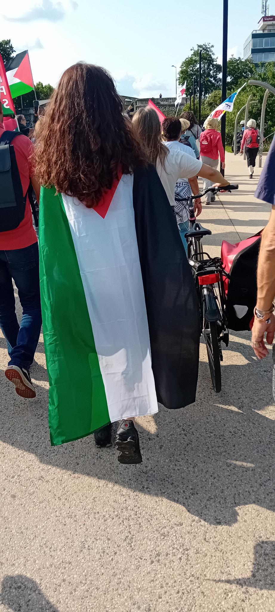 Marche pour Gaza - Paris